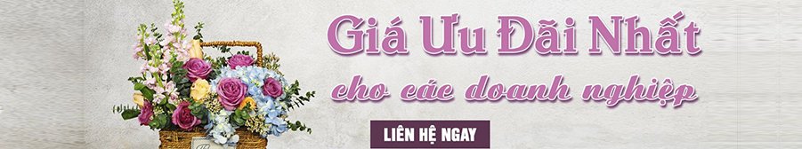 Máy tập lắc hông trụ đôi